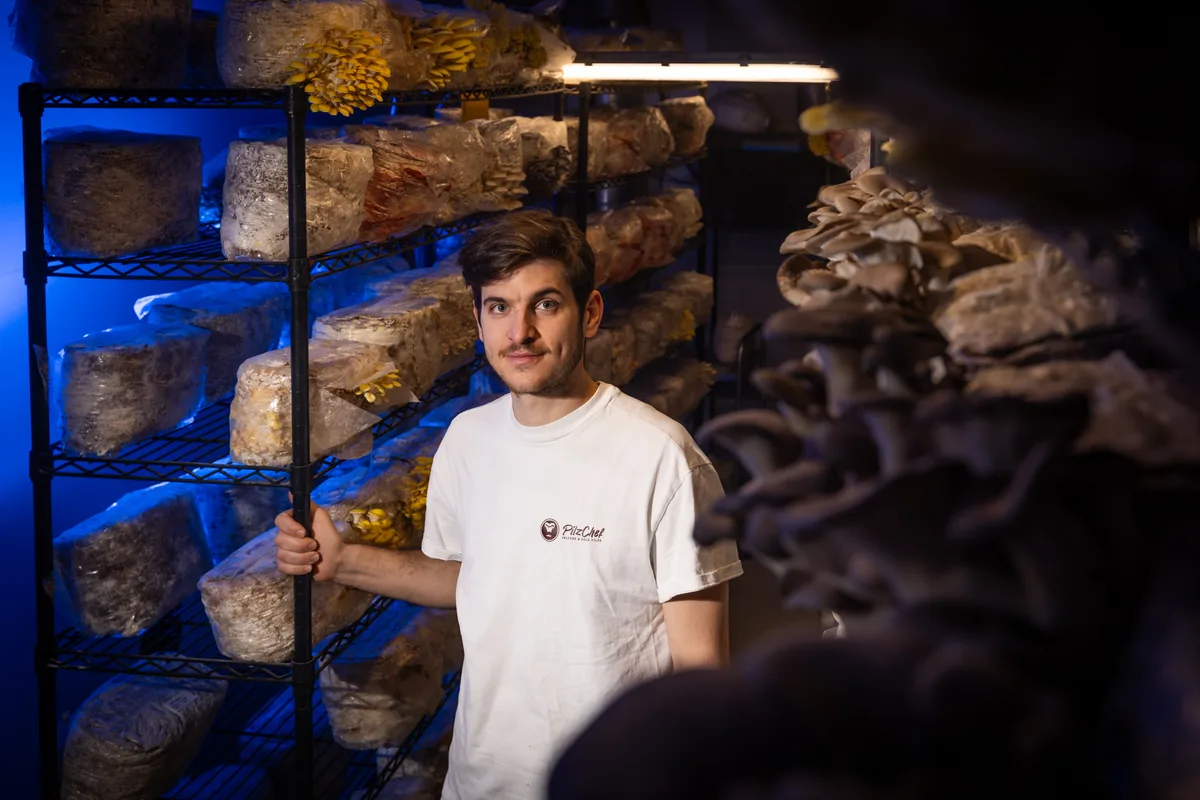 Lorenzo Falcone steht zwischen seinen Pilzen im Fruchtraum.